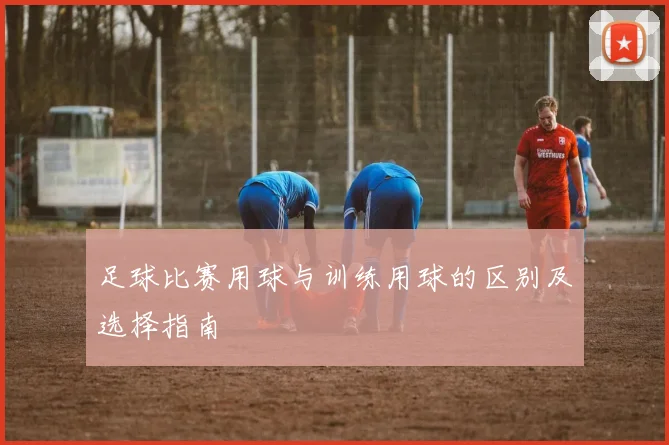 足球比赛用球与训练用球的区别及选择指南