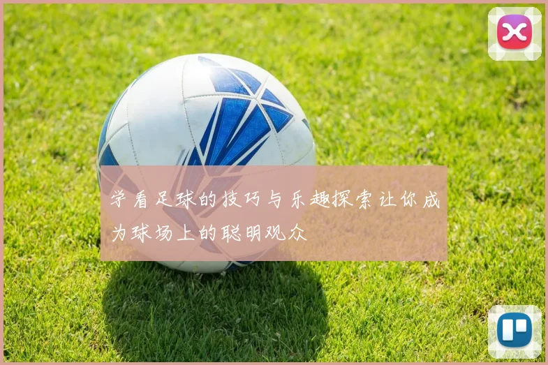 学看足球的技巧与乐趣探索让你成为球场上的聪明观众