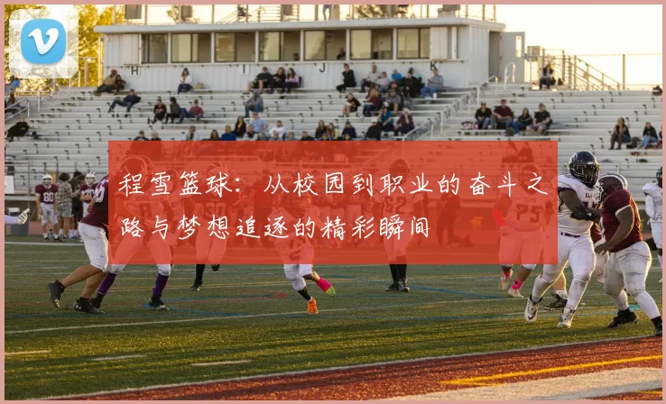 程雪篮球：从校园到职业的奋斗之路与梦想追逐的精彩瞬间