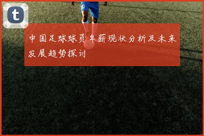 中国足球球员年薪现状分析及未来发展趋势探讨