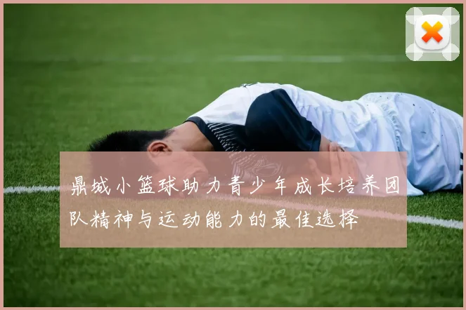 鼎城小篮球助力青少年成长培养团队精神与运动能力的最佳选择