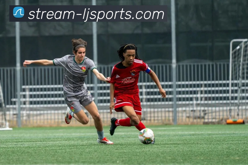 App Interface Preview