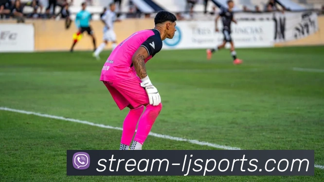 乐竟平台APP 封面图